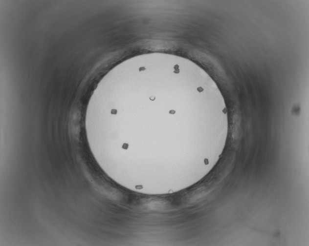 X0000116840210201001291711