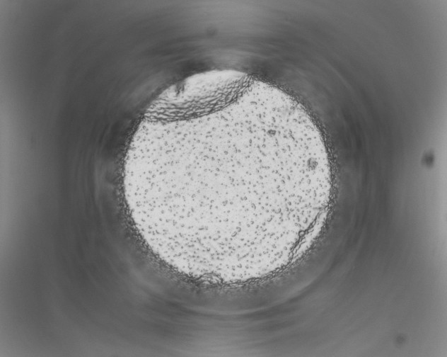 X0000116840211201001291711