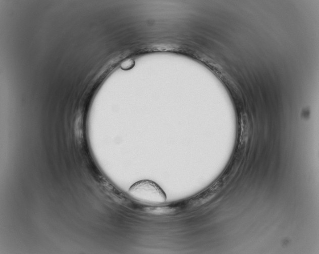 X0000116840212201001291711