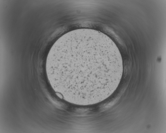 X0000116840213201001291711