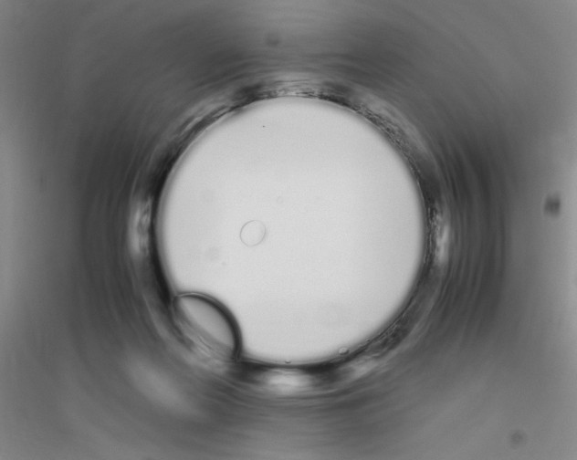 X0000116840214201001291711
