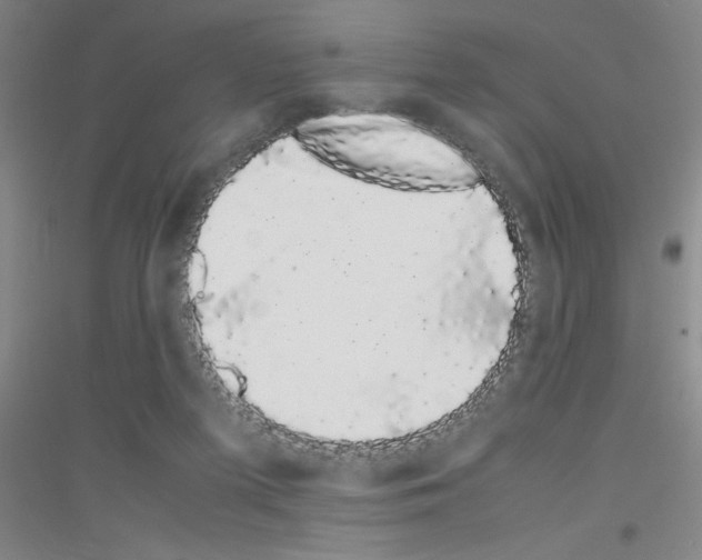 X0000116840215201001291711