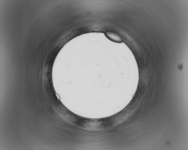 X0000116840217201001291711