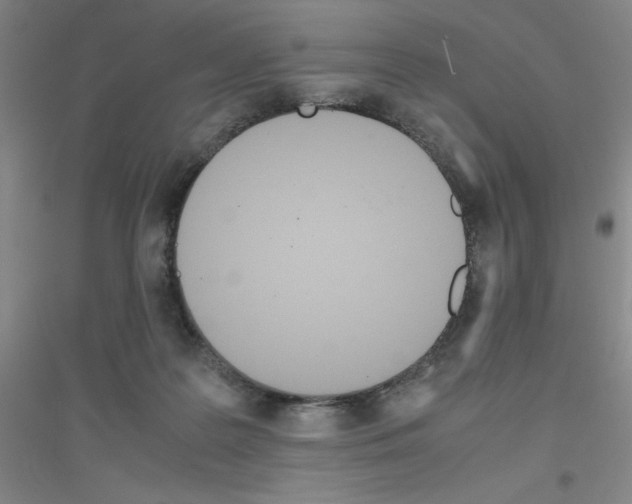 X0000116840219201001291711