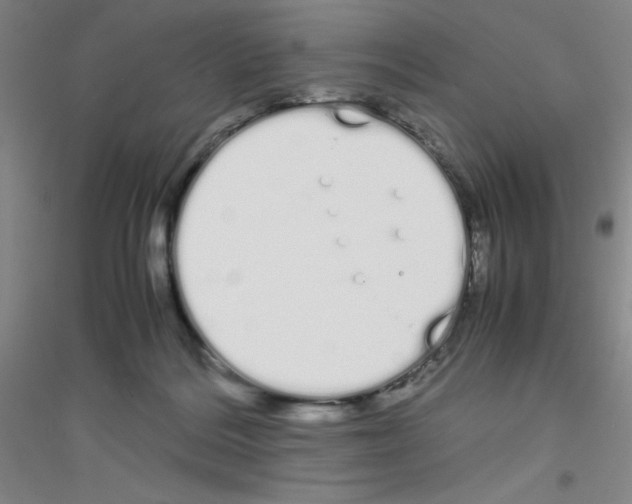 X0000116840220201001291711