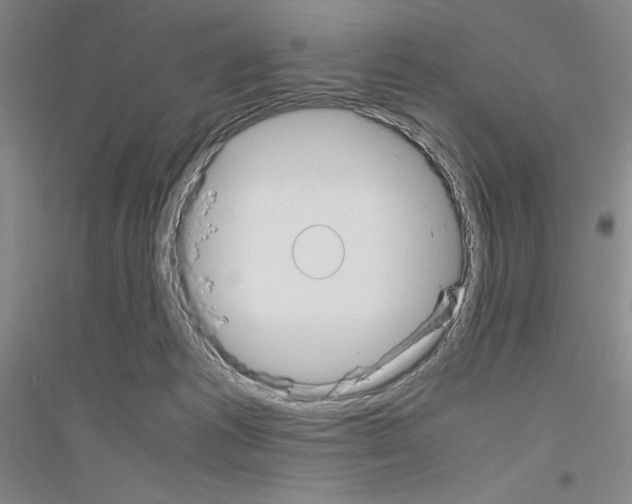 X0000116840221201001291711