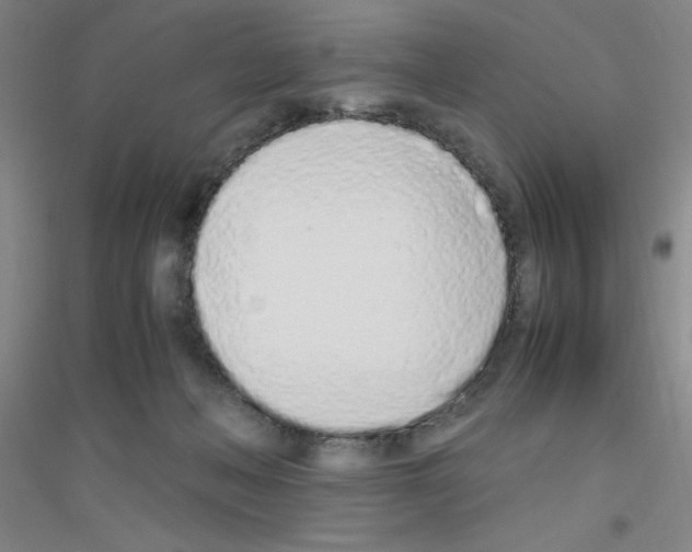 X0000116840222201001291711