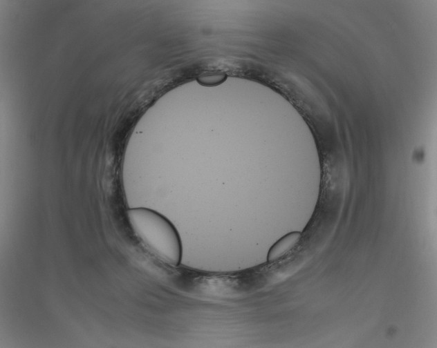 X0000116840223201001291711