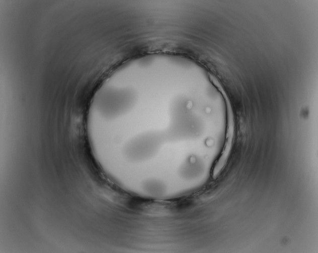 X0000116840224201001291711