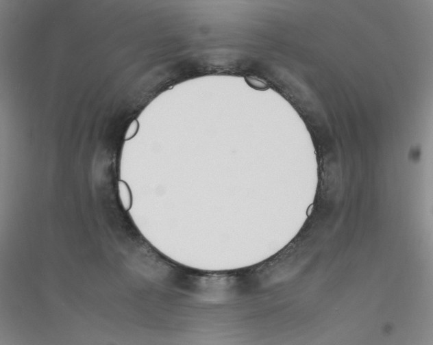 X0000116840225201001291711