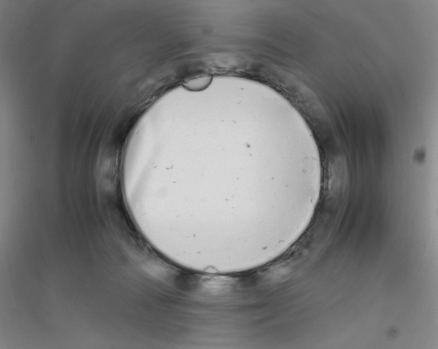 X0000116840226201001291711