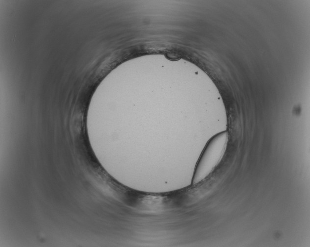 X0000116840227201001291711