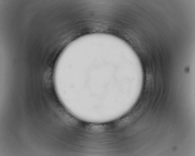 X0000116840228201001291711