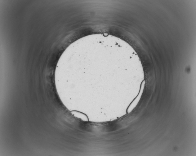 X0000116840229201001291711