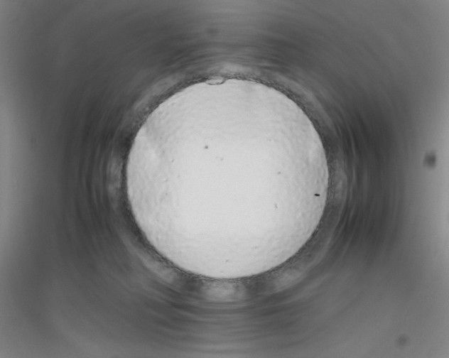 X0000116840230201001291711