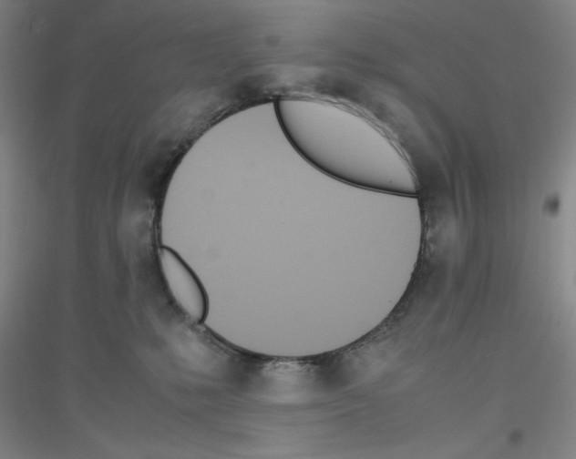 X0000116840231201001291711