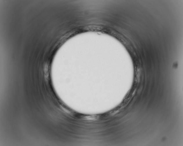 X0000116840232201001291711