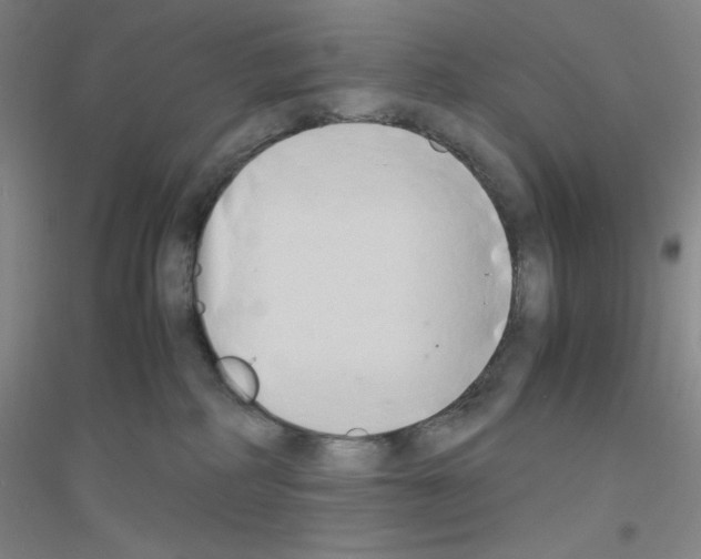 X0000116840234201001291711