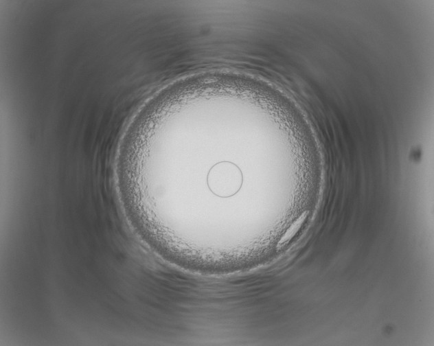 X0000116840235201001291711