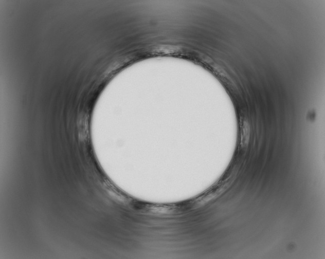 X0000116840236201001291711