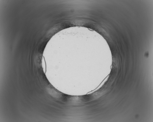 X0000116840237201001291711