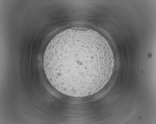 X0000116840238201001291711