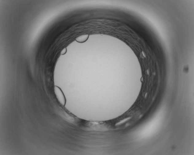 X0000116840239201001291711