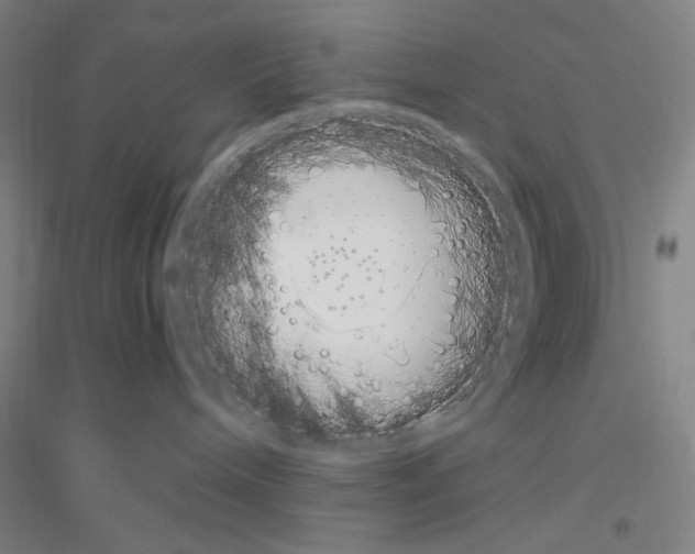 X0000116840240201001291711