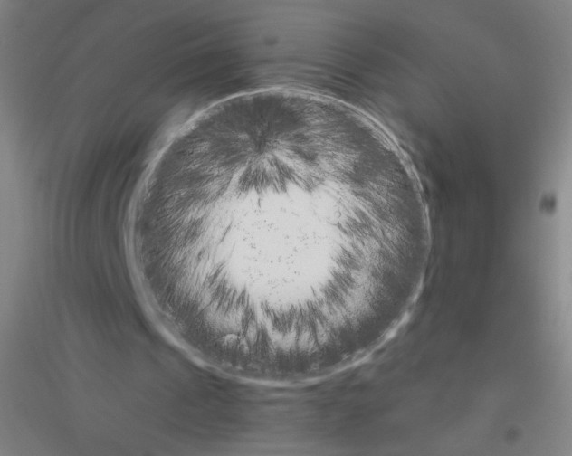 X0000116840241201001291710