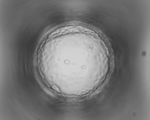 X0000116840242201001291710