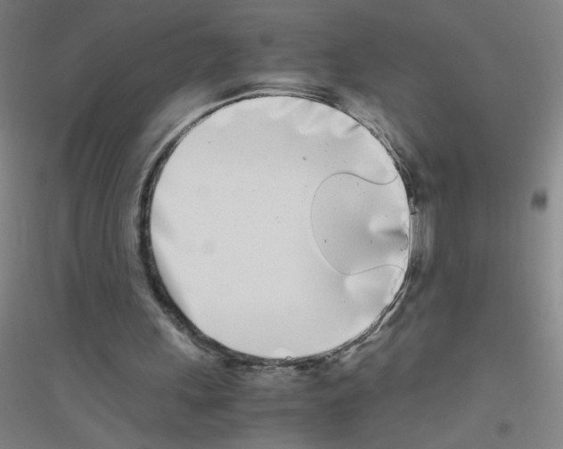 X0000116840243201001291710