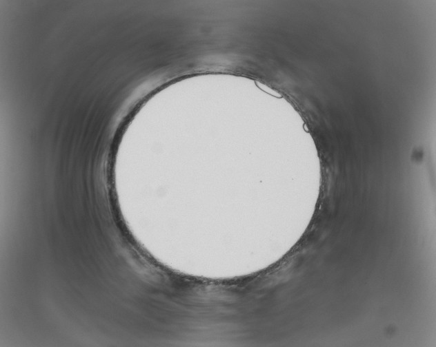 X0000116840244201001291710