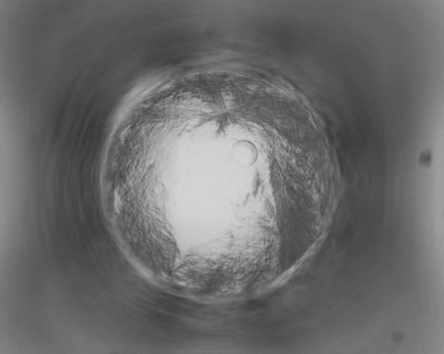 X0000116840245201001291710