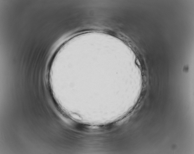 X0000116840246201001291710