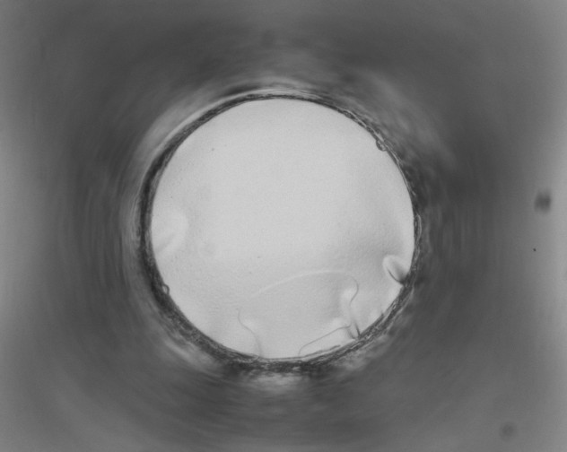 X0000116840247201001291710