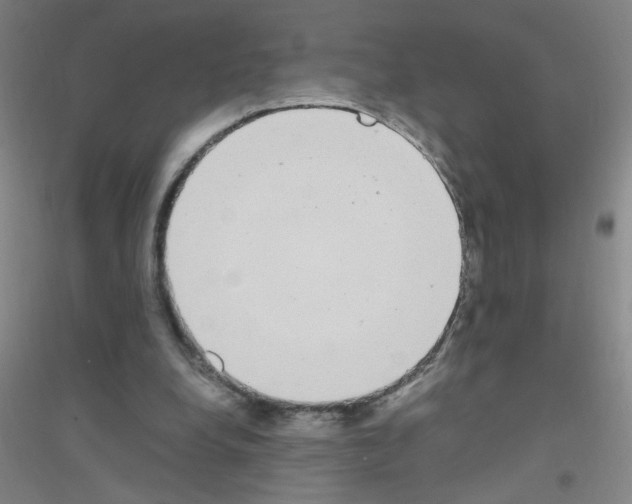 X0000116840248201001291710