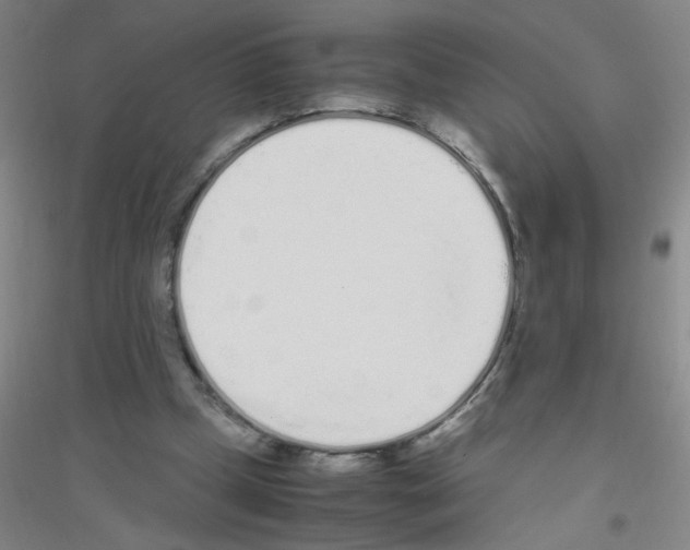 X0000116840249201001291710