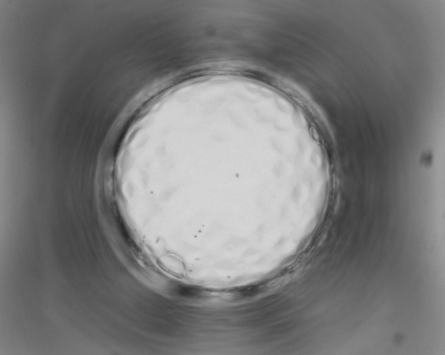 X0000116840250201001291710