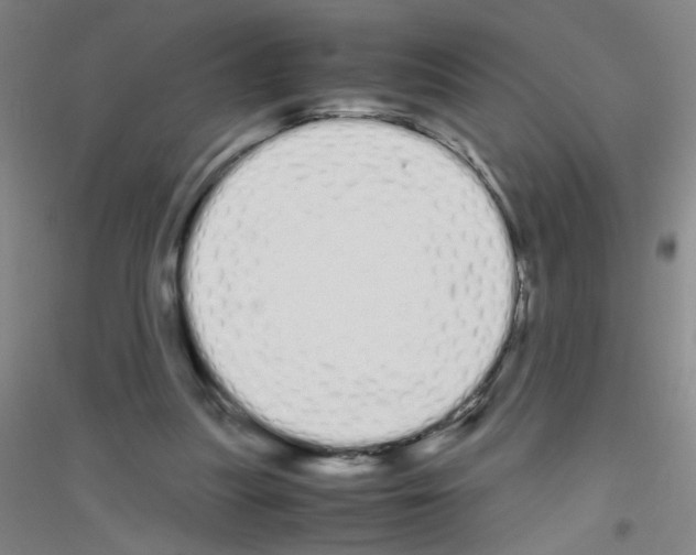 X0000116840251201001291710