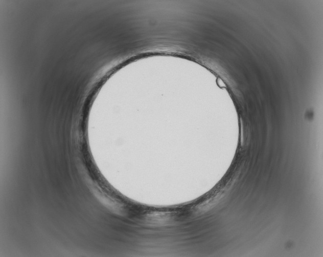 X0000116840252201001291710