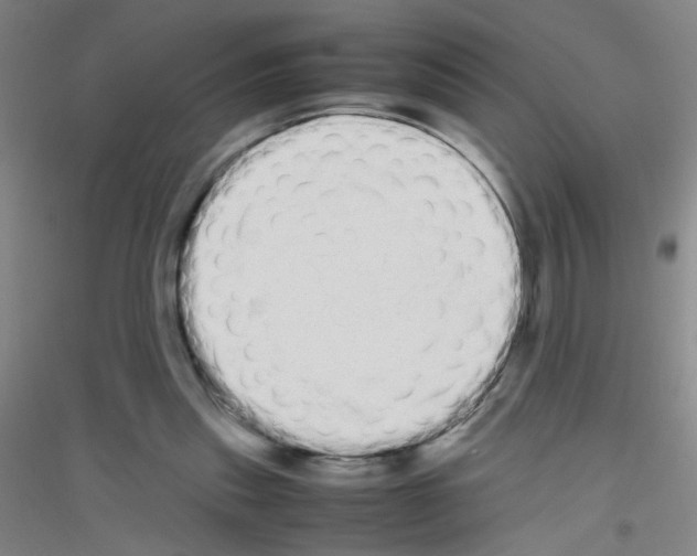 X0000116840253201001291710