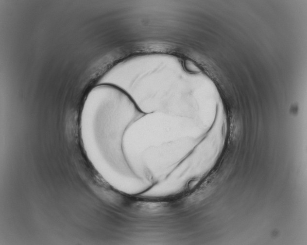 X0000116840254201001291710