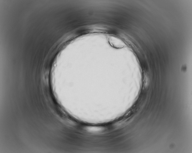 X0000116840255201001291710