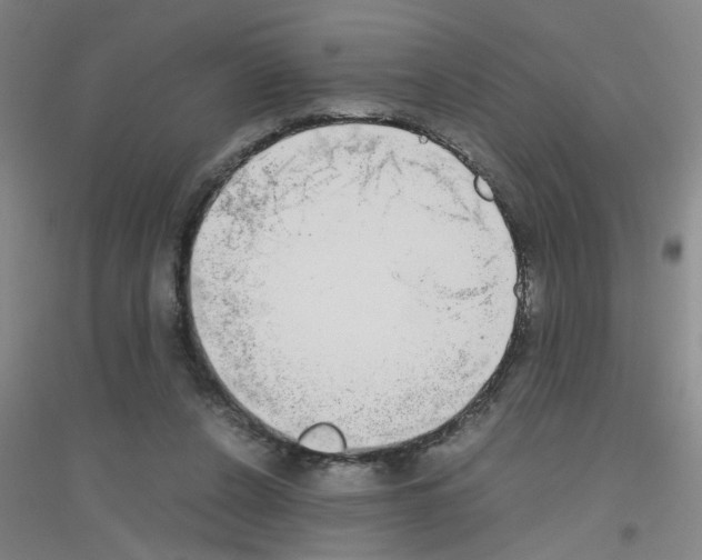 X0000116840256201001291710