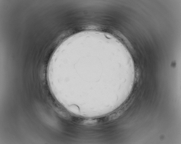 X0000116840257201001291710