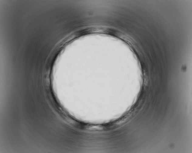 X0000116840258201001291710