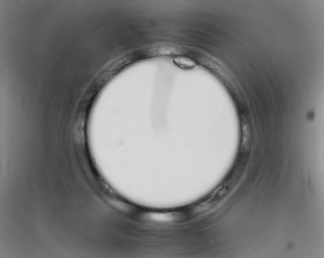 X0000116840259201001291710