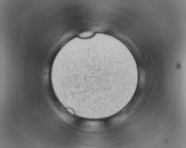 X0000116840260201001291710