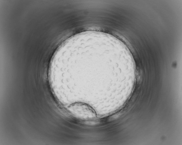 X0000116840261201001291710