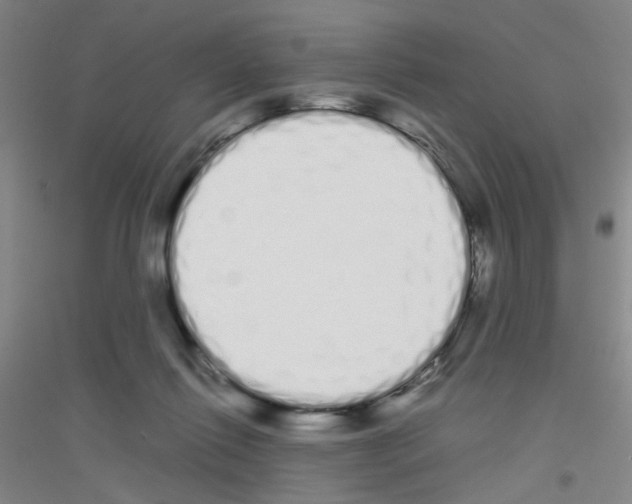 X0000116840262201001291710